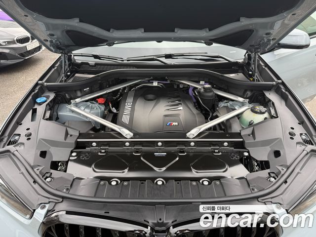 2026 BMW X6